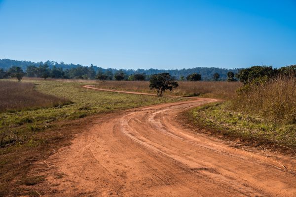 Dirt Driveway Repair in Paducah
