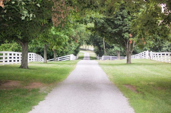 Gravel Road Installation Service