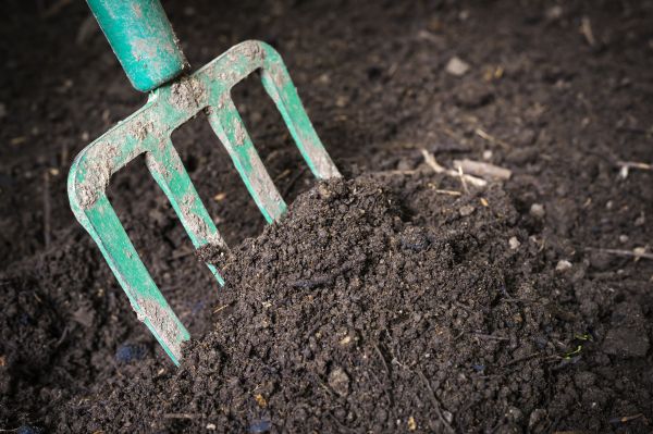 Topsoil Spreading in Paducah