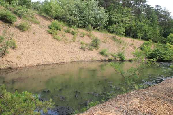 Cost of Pond Erosion Repair in Paducah