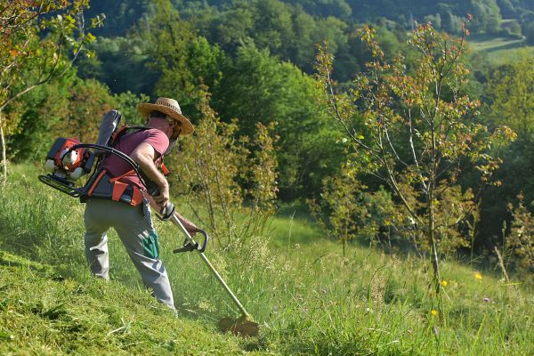 Cost of Slope Trimming in Paducah